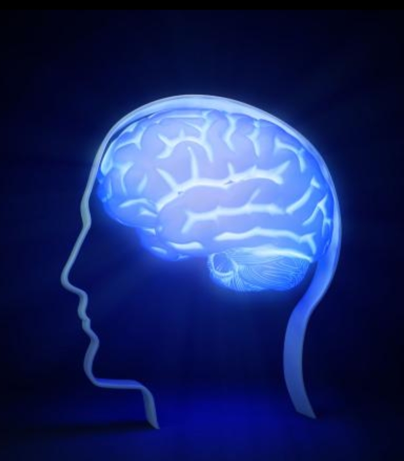 5分钟学会画思维导图步骤,二年级下册数学1-8思维导图怎么画