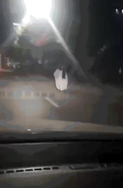 搞笑gif开心一刻我受了太多的委屈,开心一刻搞笑gif图