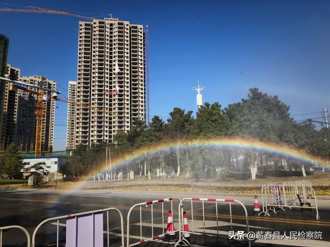 防疫日记总结,代购防疫物品