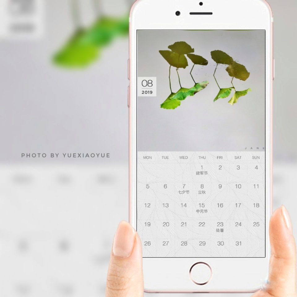 送你一张凉快动态壁纸,大暑送你清凉壁纸