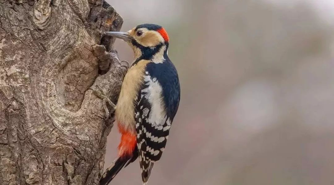 大额行贿罪判决书,个人行贿案一审宣判