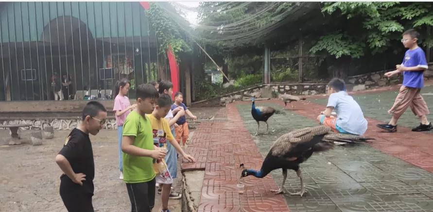 研学旅行孟良崮方案,儿童夏令营研学旅游