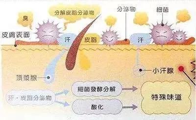 夏天腋臭怎么办用什么药,腋臭适合用什么止汗露
