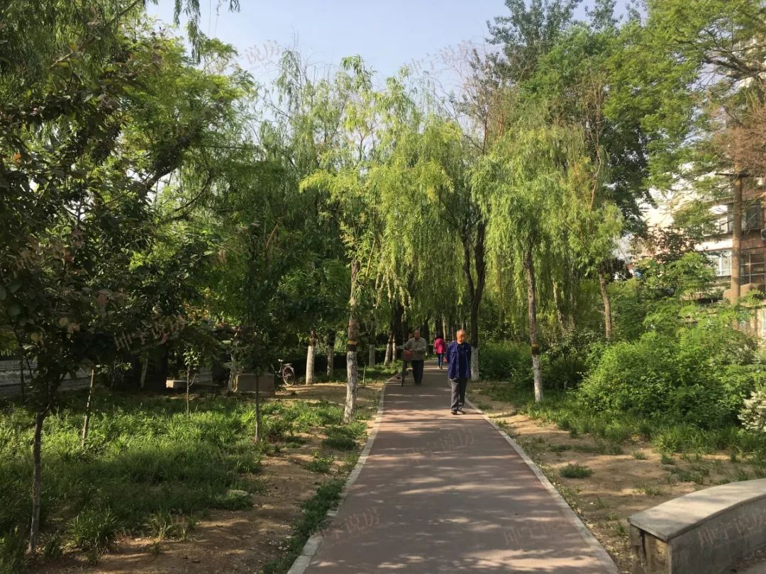 实探学区房,实探一线学区房