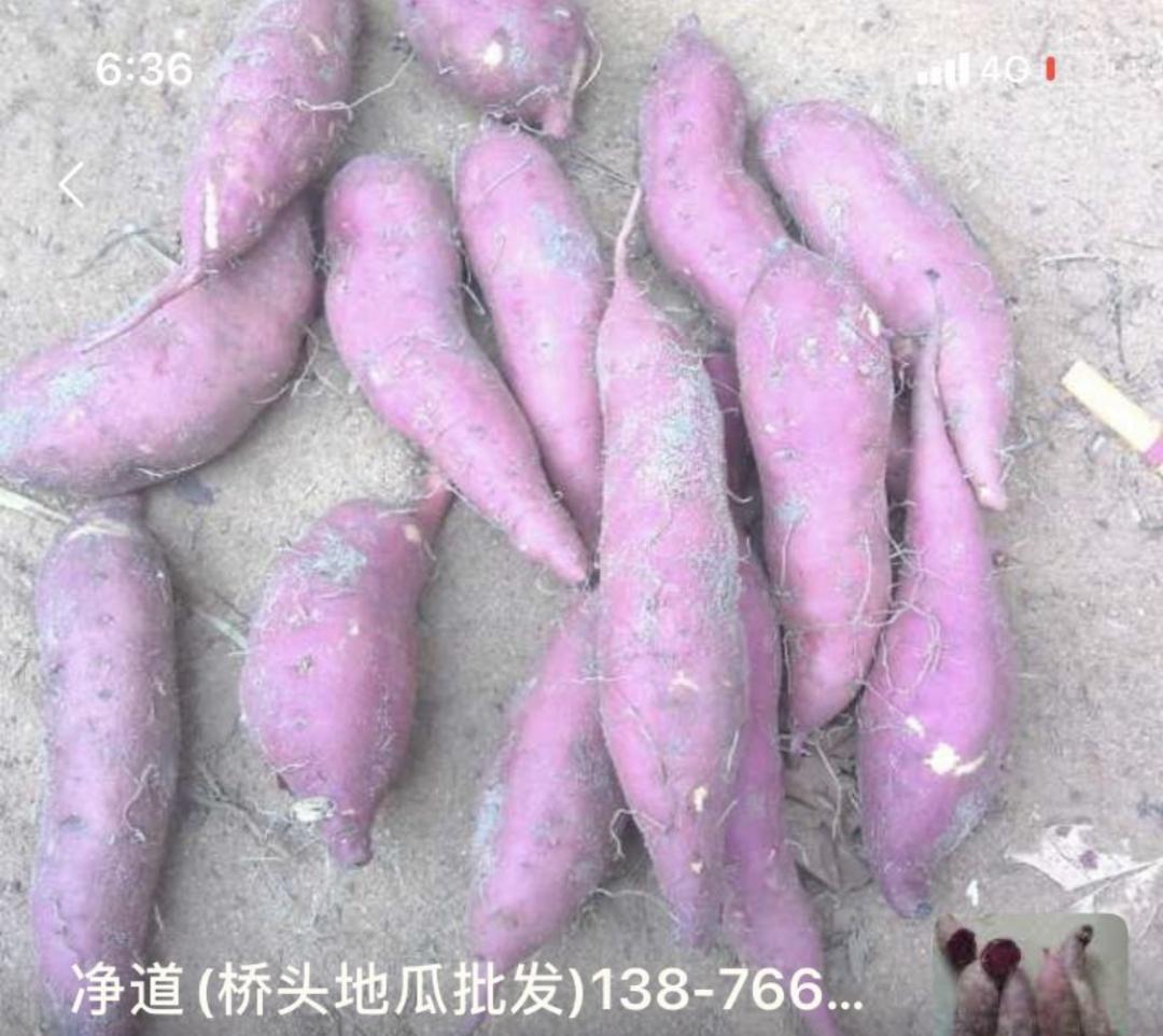 CBD里的Chloe、AmandaandKatharine，都在㳽到脑壳买农副产品