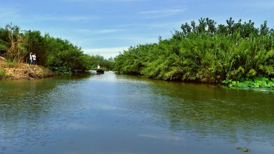 亚洲宜居城市排名2019,中国唯一一个国际评选的宜居城市