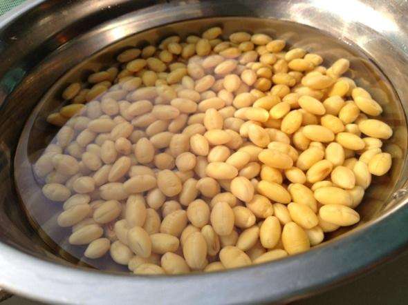 空腹喝豆浆会引起腹胀吗,空腹喝豆浆会胀气肚子疼