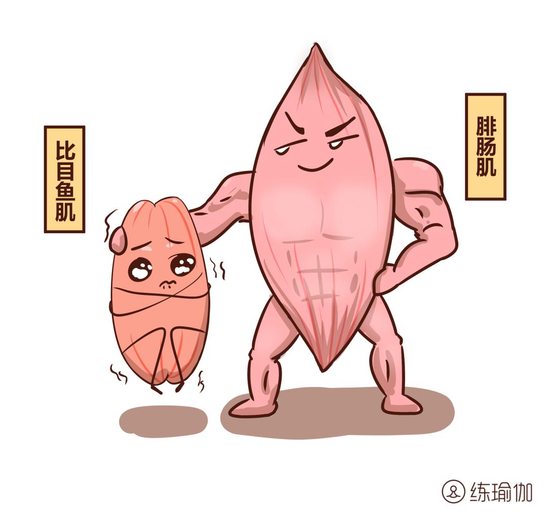 小腿腿围粗怎么减,小腿粗壮萝卜腿怎么办