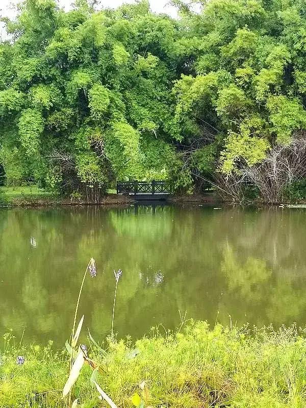 孩子需要什么样的父母亲?