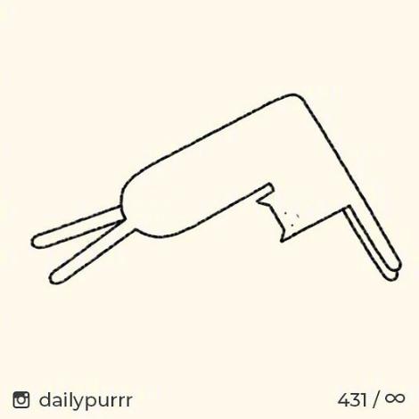 猫的内在品质,猫的本质就是嫌弃主人