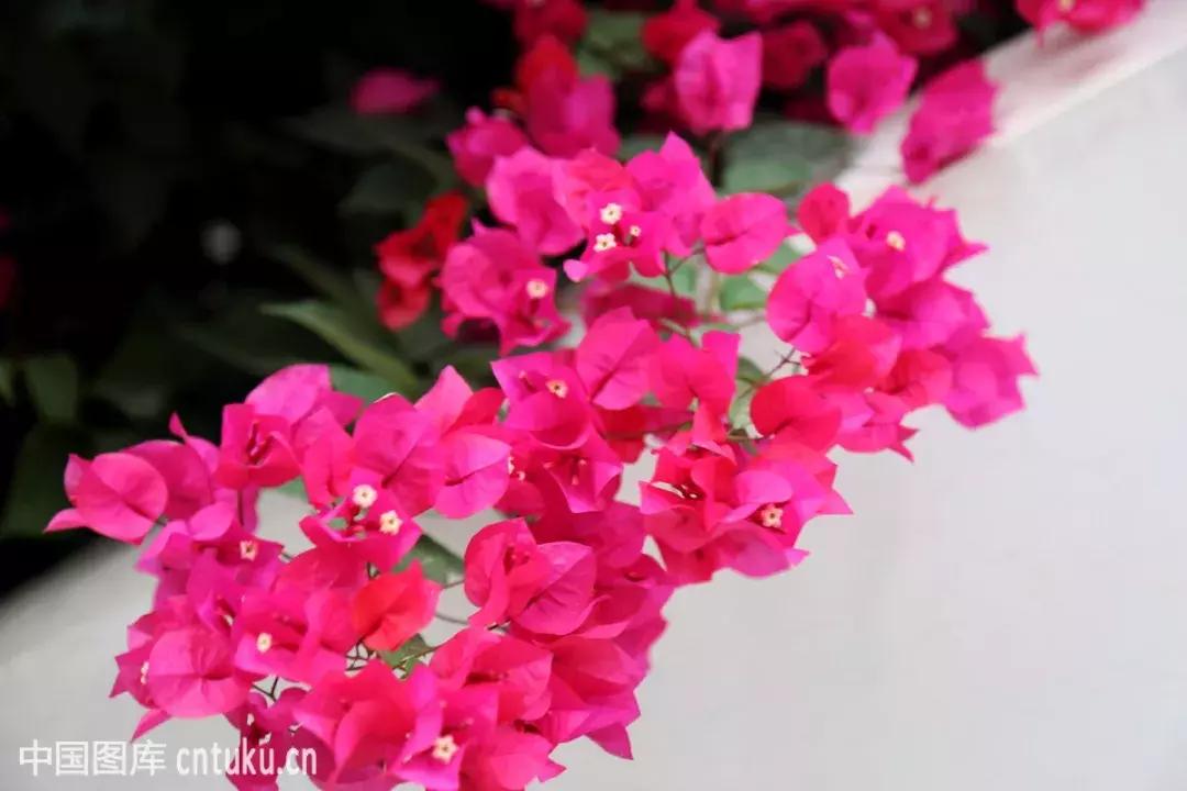 福建漳州厦门的发展,漳州与厦门经济差距