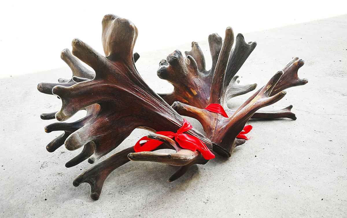 吉春制药健肝灵胶囊,吉春制药阿胶补血口服液