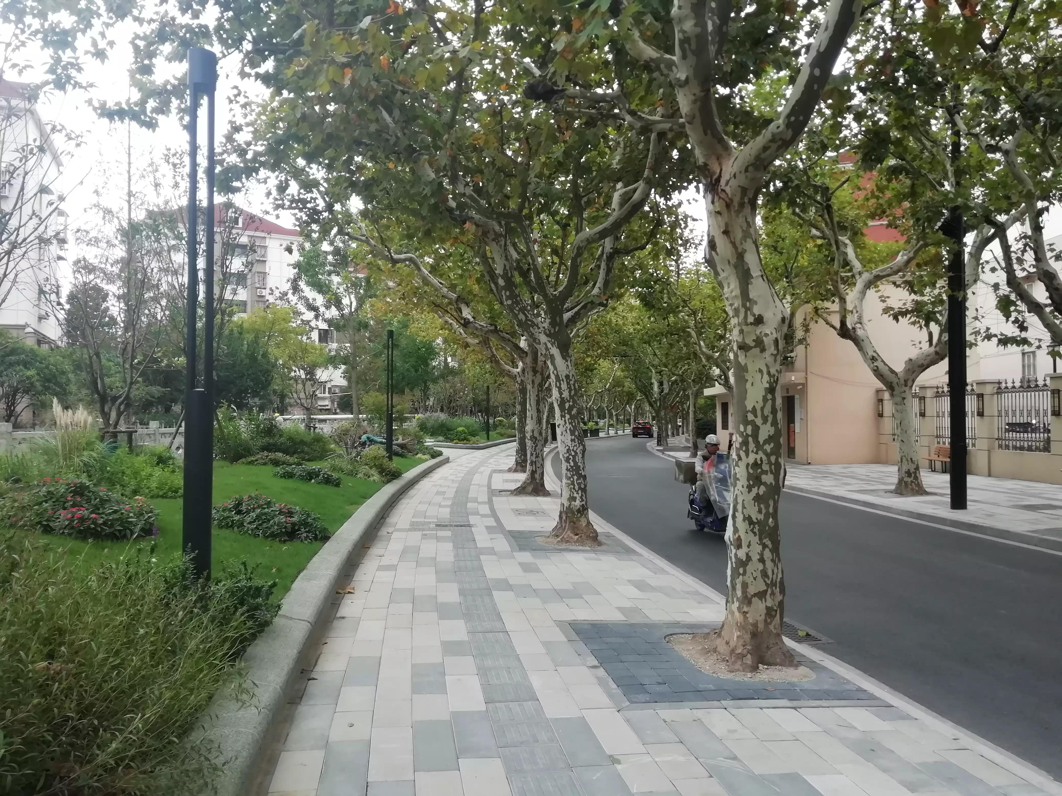 此劳模新村何以植物命名马路，以至美得像江南园林？