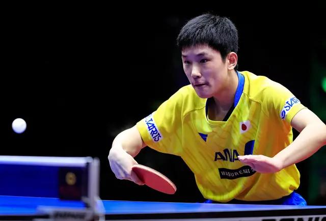 波尔为什么一直在打乒乓球,波尔为啥能打这么久