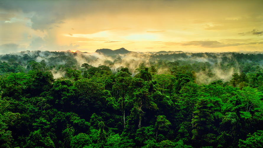 创维酷开p50pro和海信e3f哪个好,创维酷开p5065寸价格