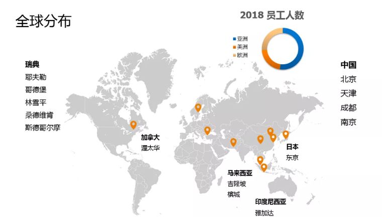 新拓尼克公司,瑞典新拓尼克
