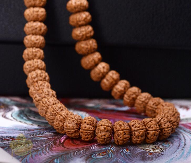 小金刚菩提中的极品,小金刚菩提果实