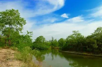 石家庄草莓采摘基地推荐,石家庄周边采摘园摘草莓