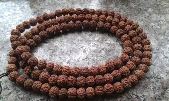 小金刚菩提鉴定视频,小金刚菩提的真假鉴别