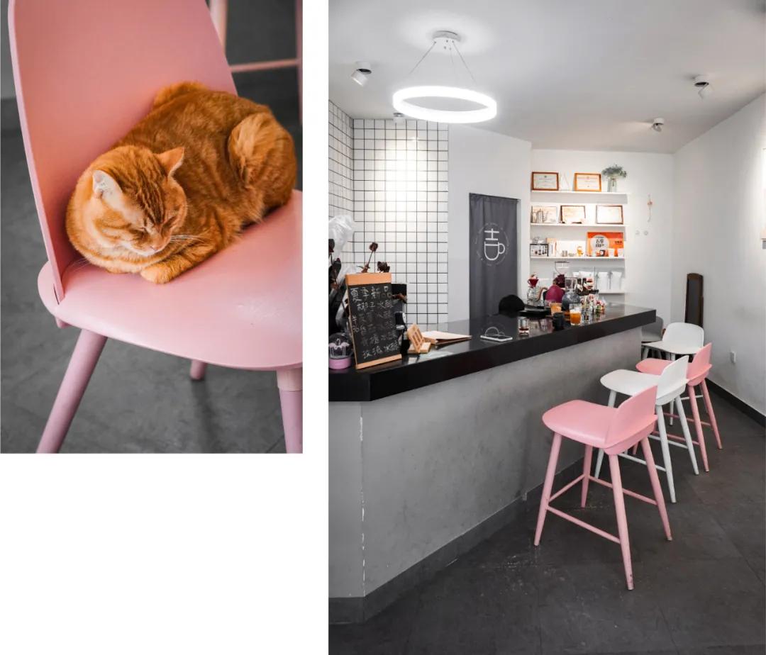 探秘苏州的咖啡店,苏州最好的咖啡店推荐