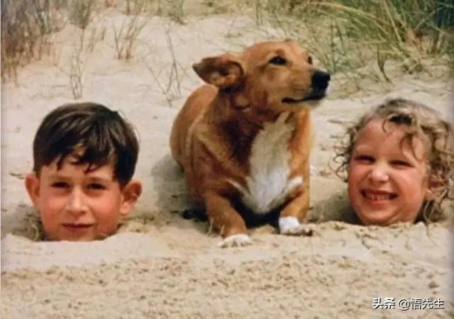 年轻时的霍金照,霍金年轻时照片有多帅