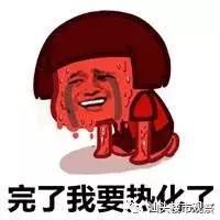 汕头华侨公园开园,汕头华侨公园改造