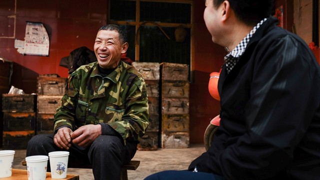 一只蜜蜂每天要多少蜜,一只蜜蜂一天可以采多少蜂蜜