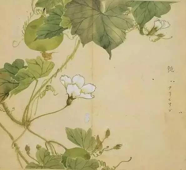 惊艳千年的古诗词合集,五千年来最美的20首诗