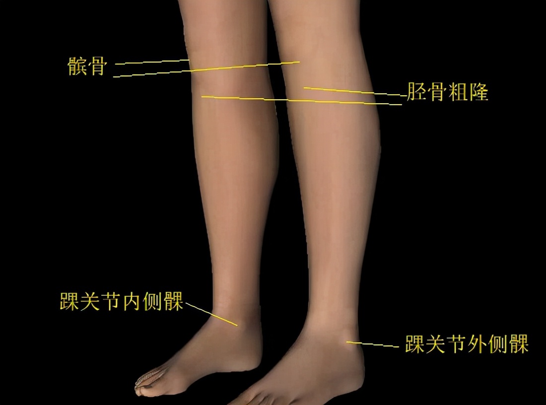 膝关节活动度测量方法视频,上肢关节活动度测量方法