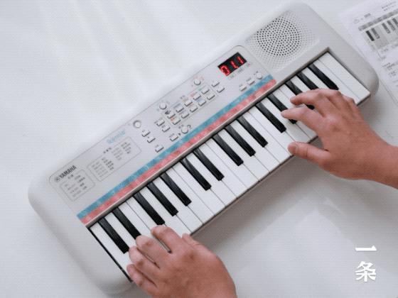 雅马哈自弹自唱的电子琴,目前最好的雅马哈电子琴最大一款