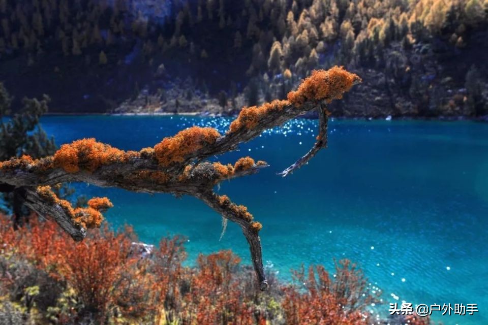 国内十大经典徒步路线,十大户外经典驴友线路