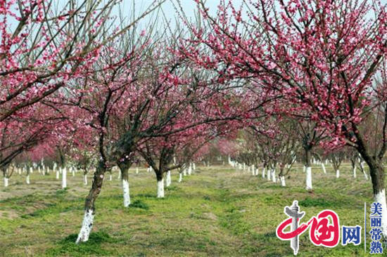 美丽常熟宣传片评论,常熟尚湖美丽风景