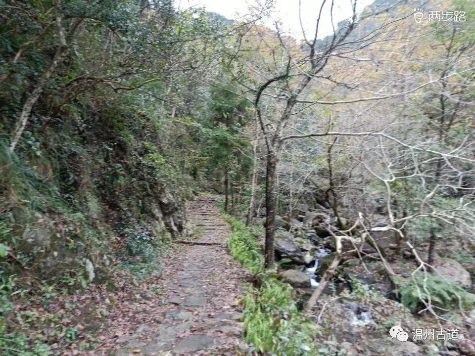 温州茶山红枫古道,浙江温州永嘉红枫古道