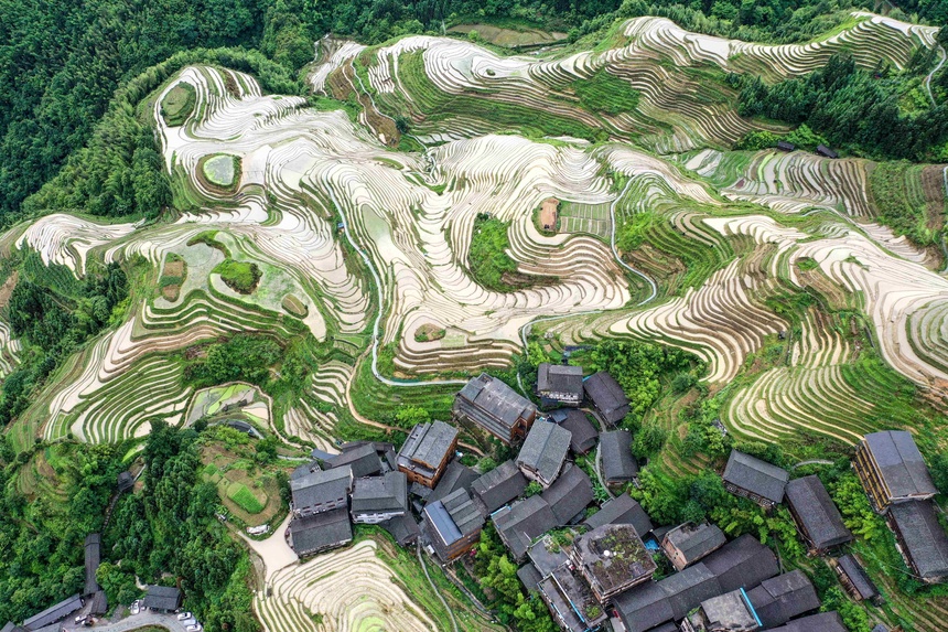 桂林鸡血玉精美配饰,天然玉石桂林鸡血玉鉴定