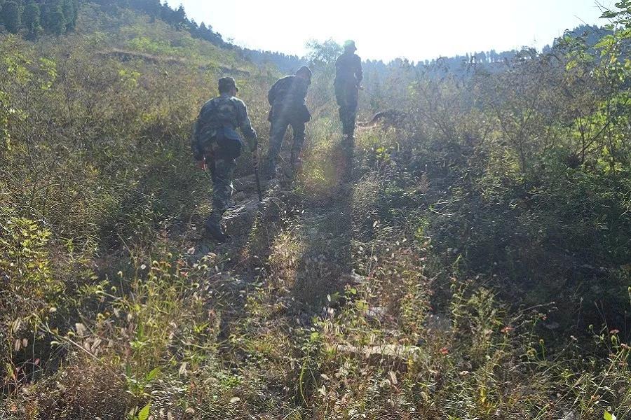 夜读散文美文,夜读散文流淌在岁月中的甜蜜