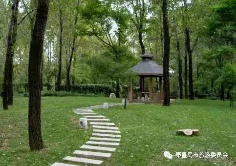 秦皇岛最美公路自驾游路线,秦皇岛摩托车骑行最美路线