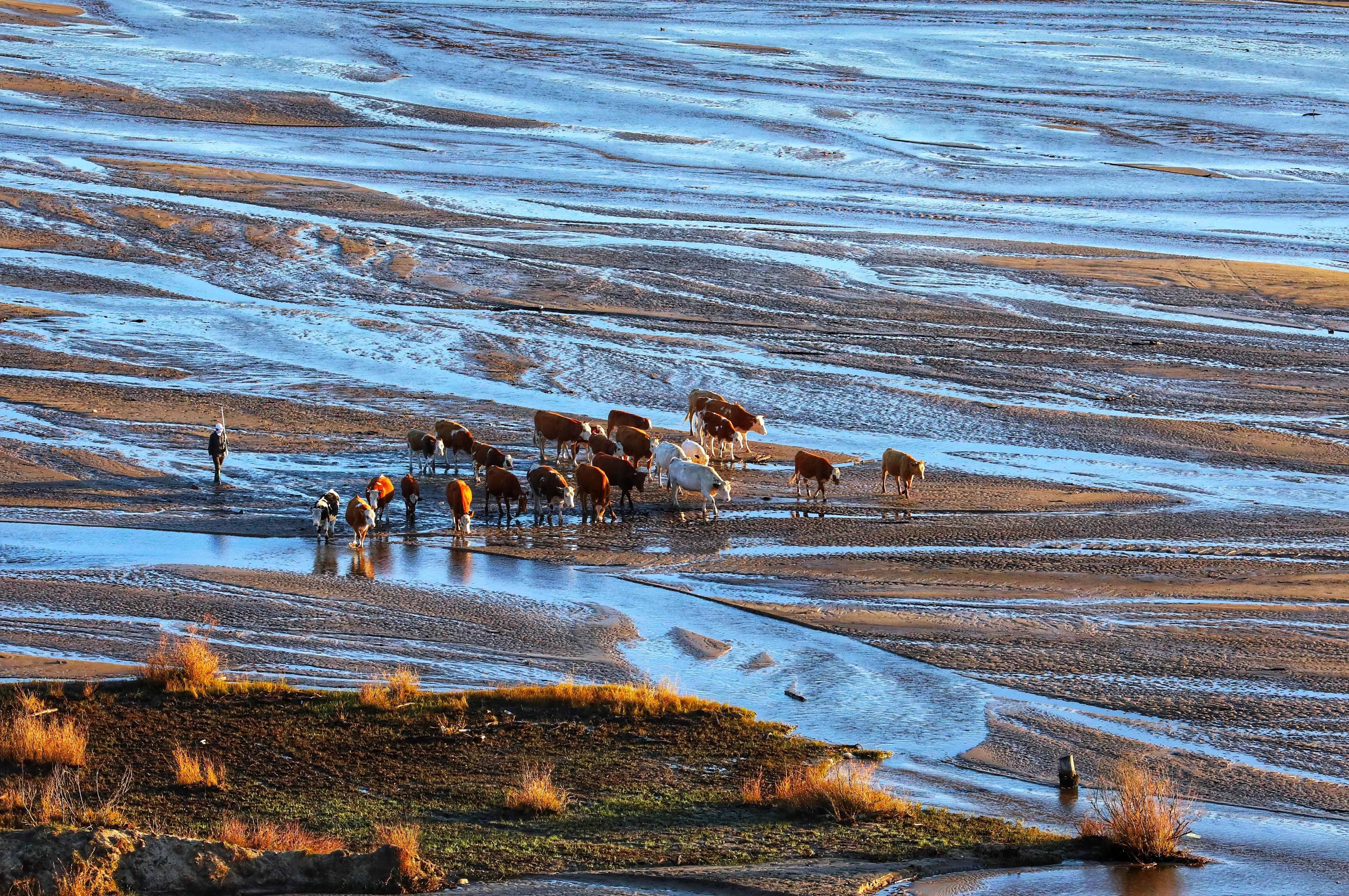 坝上秋色草原,坝上草原游记作文