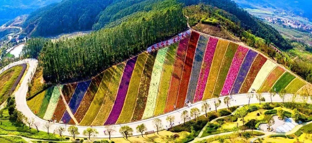 陆游的山重水复疑无路柳暗花明,山重水复疑无路陆游最美的十首词