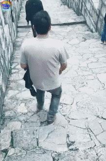 搞笑动图gif骂人,搞笑动图gif兔子