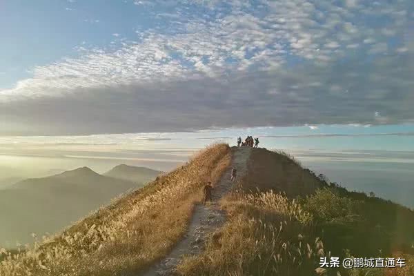 深圳周边适合10-15人玩乐的地方,深圳周边两天一夜的旅游地方推荐