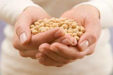 北纯推荐丨营养师都称赞的“豆中之王”究竟有什么营养你知道吗?