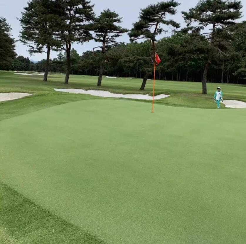 游记｜来自香港、上海、深圳的7位贵宾：挥杆关东世界百佳...