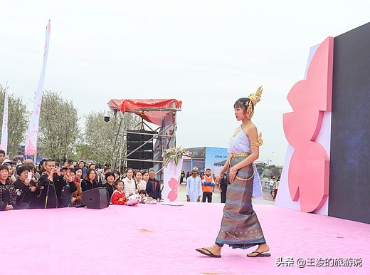 温州龙湾樱花,温州看樱花的地方