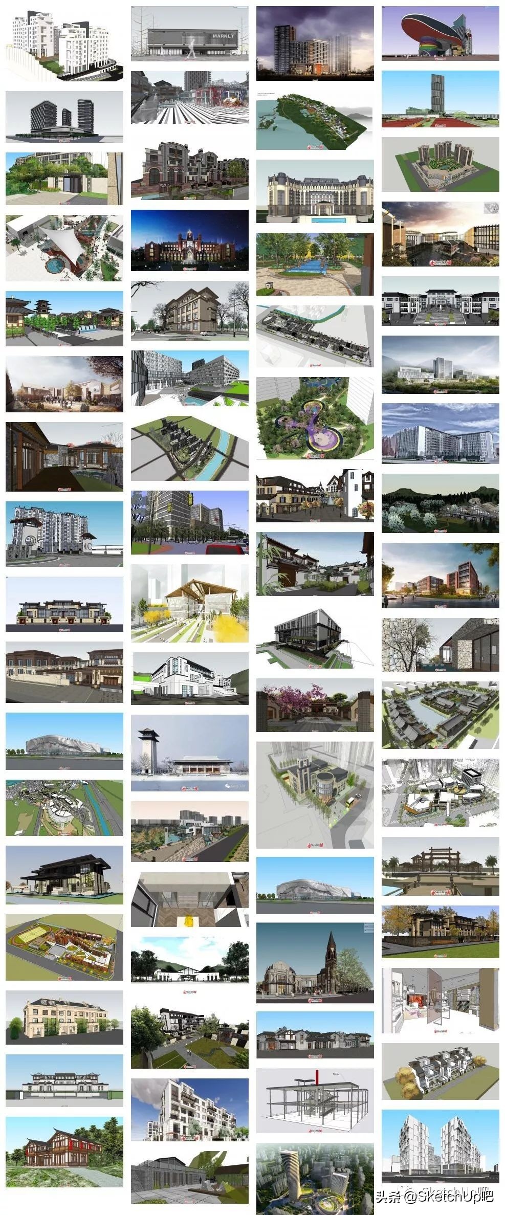 猛虎落泪指的什么动物打一生肖,猛虎落泪代表什么生肖打一动物