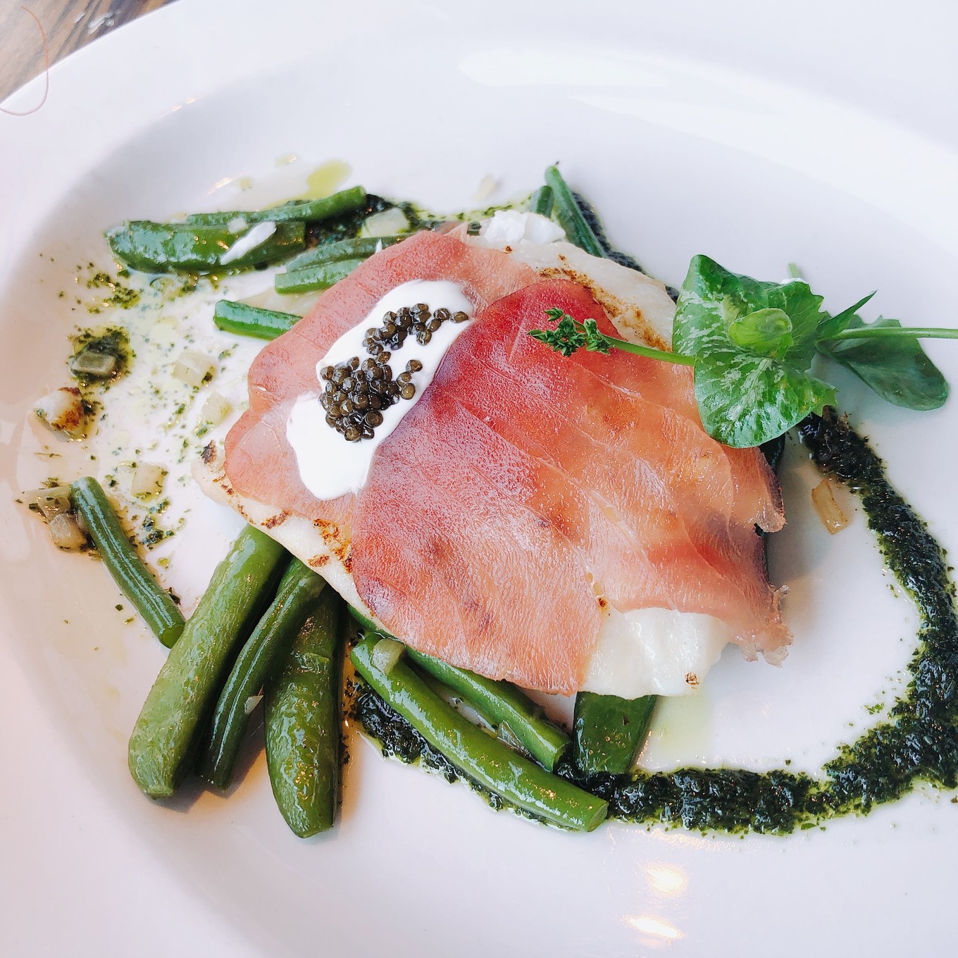 荷兰郁金香一日游攻略,荷兰郁金香旅游