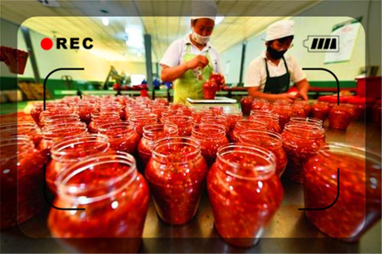 适合在农村开的小型加工厂有哪些,农村开什么小型加工厂有前景