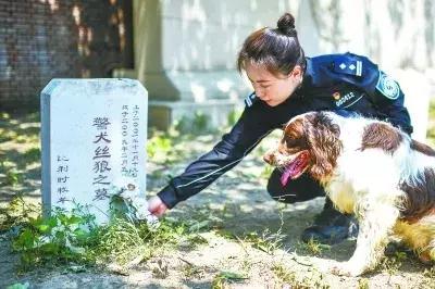它只是你的一条犬，你却是它的一生