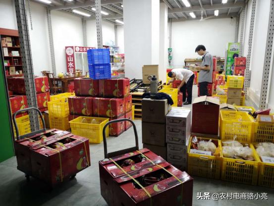 广东金巢电子商务股份公司发展历程和简介