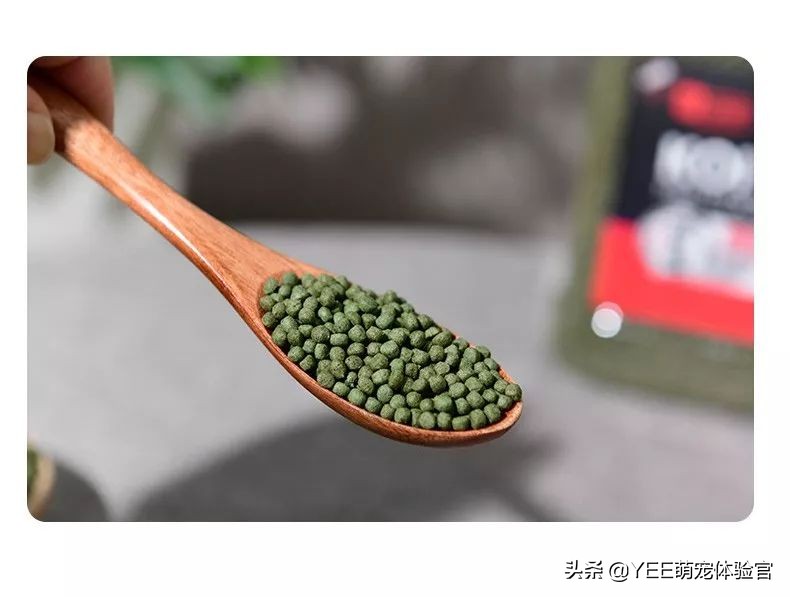 用好饲料喂饱的观赏鱼，体色靓丽更好看