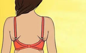 去健身房的都是一些什么样的人,去健身房的是不是都是身材很好的